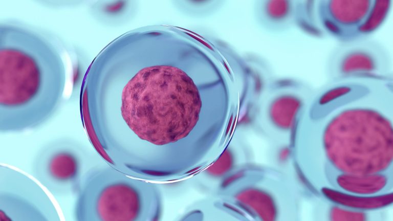 Stem Cell Conditions and Indications: A Complete Clinical Guide